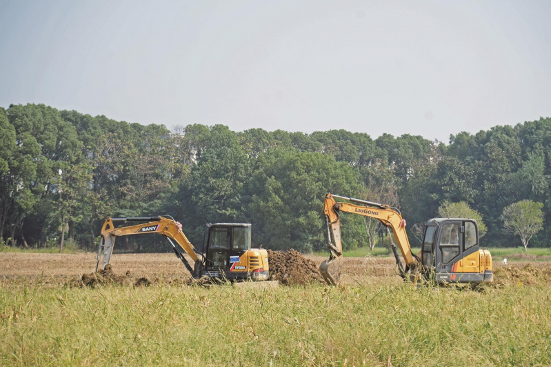 “沉睡”土地“新粮仓”